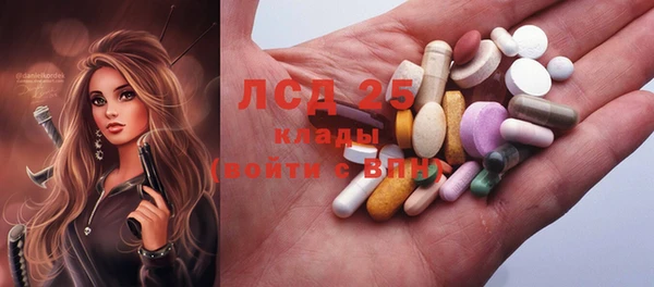 крисы Карпинск
