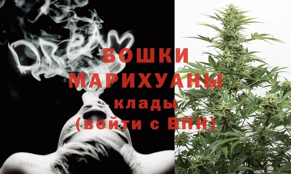 прущие грибы Касимов