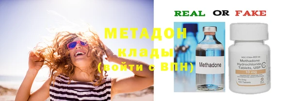 прущие грибы Касимов