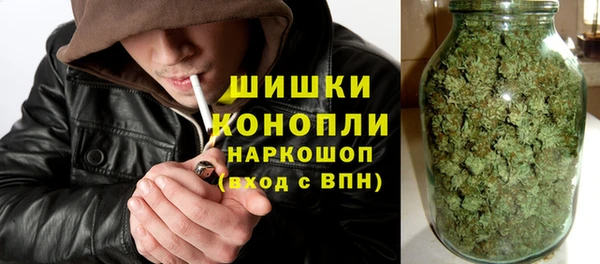 крисы Карпинск
