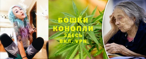 прущие грибы Касимов