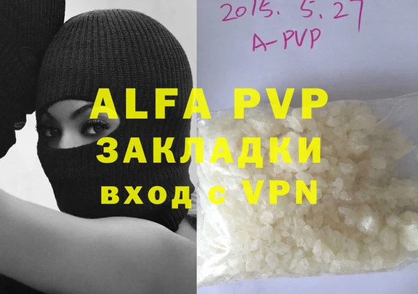 прущие грибы Касимов