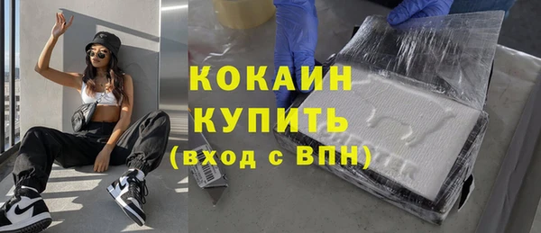 прущие грибы Касимов