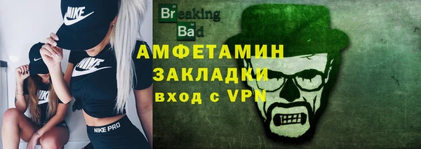 прущие грибы Касимов