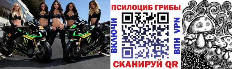 Купить закладки  Бахчисарай  Псилоцибиновые грибы ЛСД 